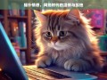 猫扑情感，网络时代的温情与孤独