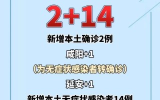 11月11日陕西新增14例本土确诊病例和18例本土无症状，8月2日郑州疫情情况—8月2日郑州疫情情况怎么样