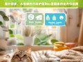 猫扑健康，从日常护理到心理健康的全方位猫咪养护指南