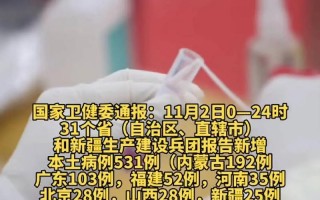 11月2日31省区市新增本土确诊93例分布在哪些地方_10，10月24日0时至15时北京新增感染者情况及健康提示