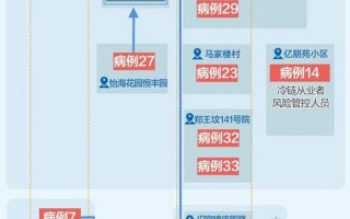 北京汽车摇号查询，北京本轮疫情感染者关系图 (2)