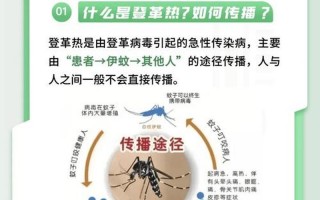 大兴火车站疫情,北京大兴火车站在什么位置，北京一企业现聚集性发病—北京发生73起密集聚集病例