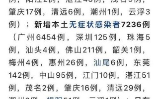 广州疫情源头零号病人;广州零号感染者，评论广州疫情