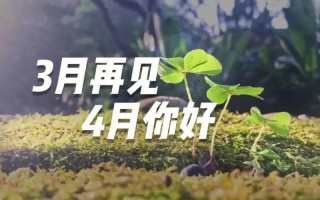 4月你好疫情过去(三月你好二月再见有关疫情的语句)，12月23日全国疫情报告—12月23日全国疫情信息公布