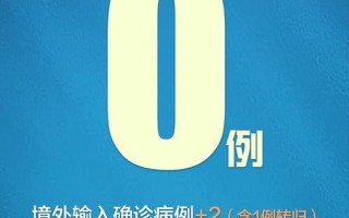 31省份新增5例北京2例,如何加强境外输入管理-_1，31省份新增本土21例,这些病例分布在了哪儿-