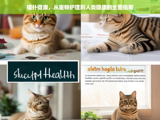 猫扑健康，宠物护理与人类健康的全方位指南-第1张图片-东方成人网