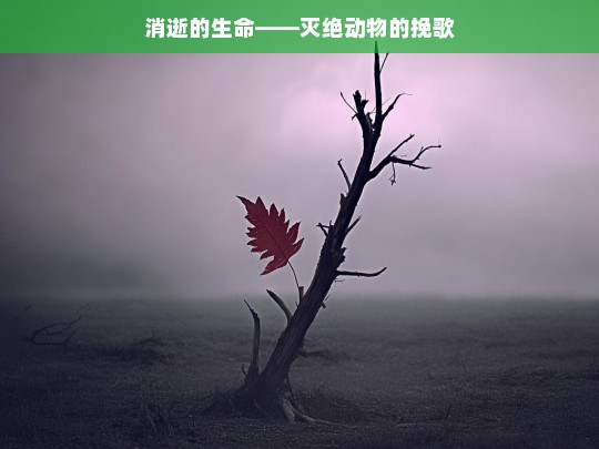 消逝生命与灭绝动物之挽歌-第1张图片-东方成人网