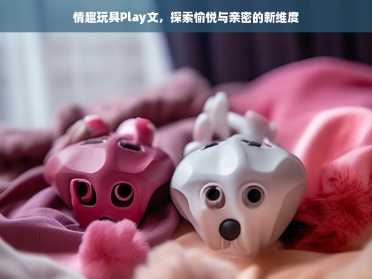 情趣玩具Play文，解锁愉悦与亲密的全新维度-第1张图片-东方成人网