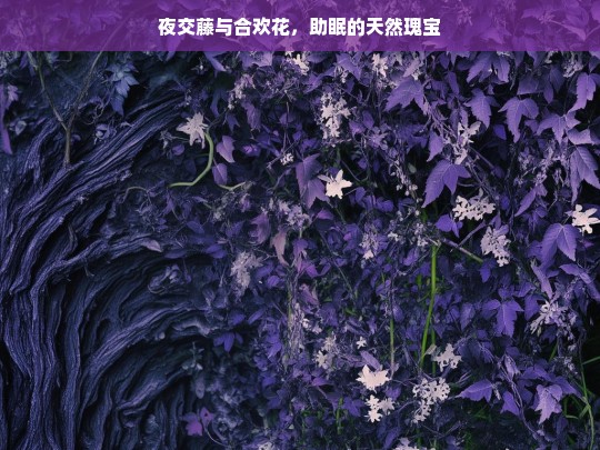 夜交藤与合欢花，助眠的天然珍宝-第1张图片-东方成人网