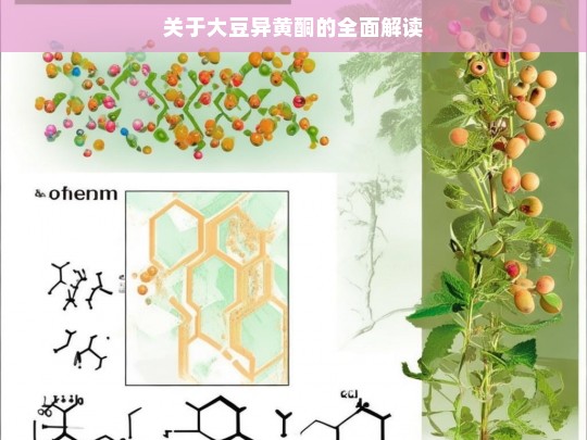 大豆异黄酮全面解读-第1张图片-东方成人网