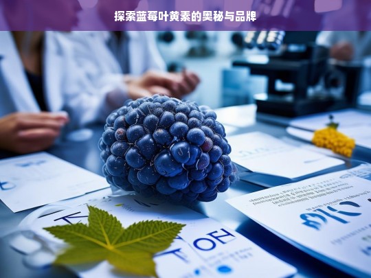 蓝莓叶黄素的奥秘与品牌探索-第1张图片-东方成人网