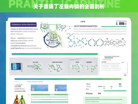 普瑞丁左旋肉碱全面剖析-第1张图片-东方成人网