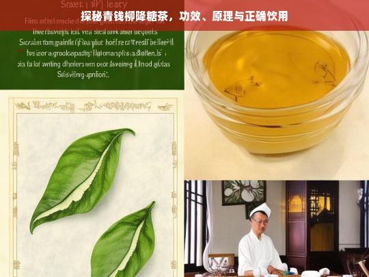 探秘青钱柳降糖茶，功效、原理及饮用方法-第1张图片-东方成人网