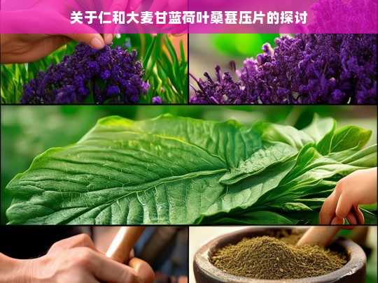 仁和大麦甘蓝荷叶桑葚压片探讨-第1张图片-东方成人网