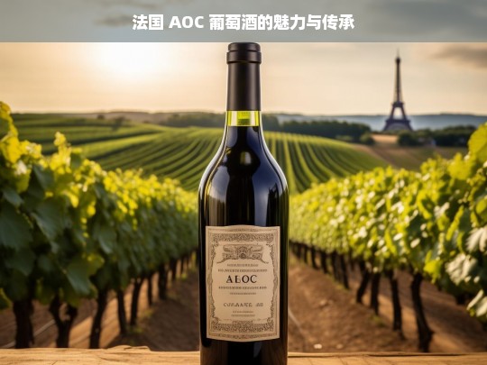 法国 AOC 葡萄酒，魅力与传承-第1张图片-东方成人网