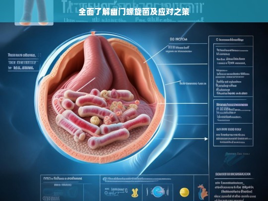 幽门螺旋菌，全面认知与应对策略-第1张图片-东方成人网