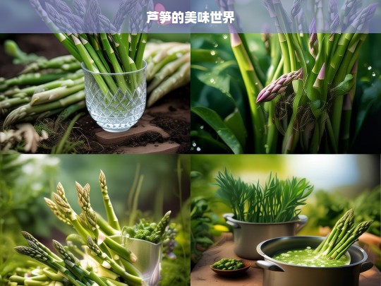 芦笋的美味世界-第1张图片-东方成人网