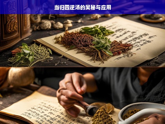 当归四逆汤，奥秘与应用探究-第1张图片-东方成人网