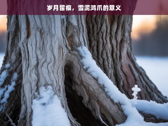 岁月留痕与雪泥鸿爪的深意-第1张图片-东方成人网