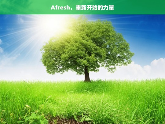 Afresh，唤醒重新开始的力量-第1张图片-东方成人网