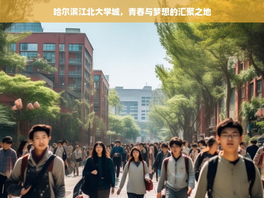 哈尔滨江北大学城，青春梦想的汇聚之所-第1张图片-东方成人网