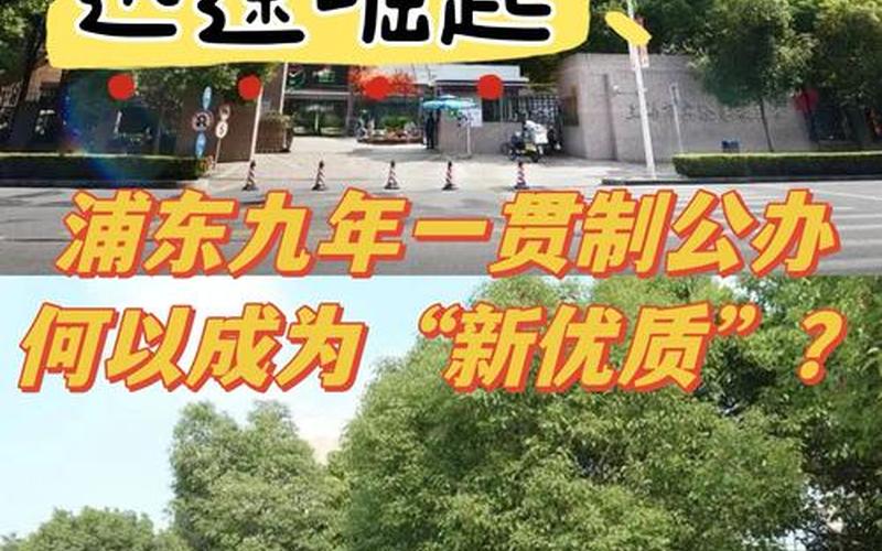 最新疫情防控消息上海—上海最新疫情防控情况，上海市实验学校疫情-第1张图片-东方成人网